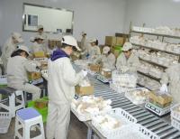 食品行業(yè)